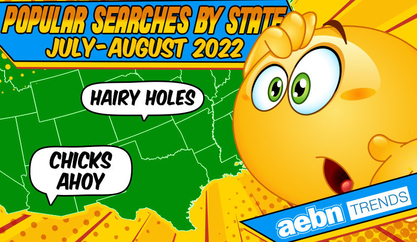 Popular Porn VOD Searches by State in July and August of 2022